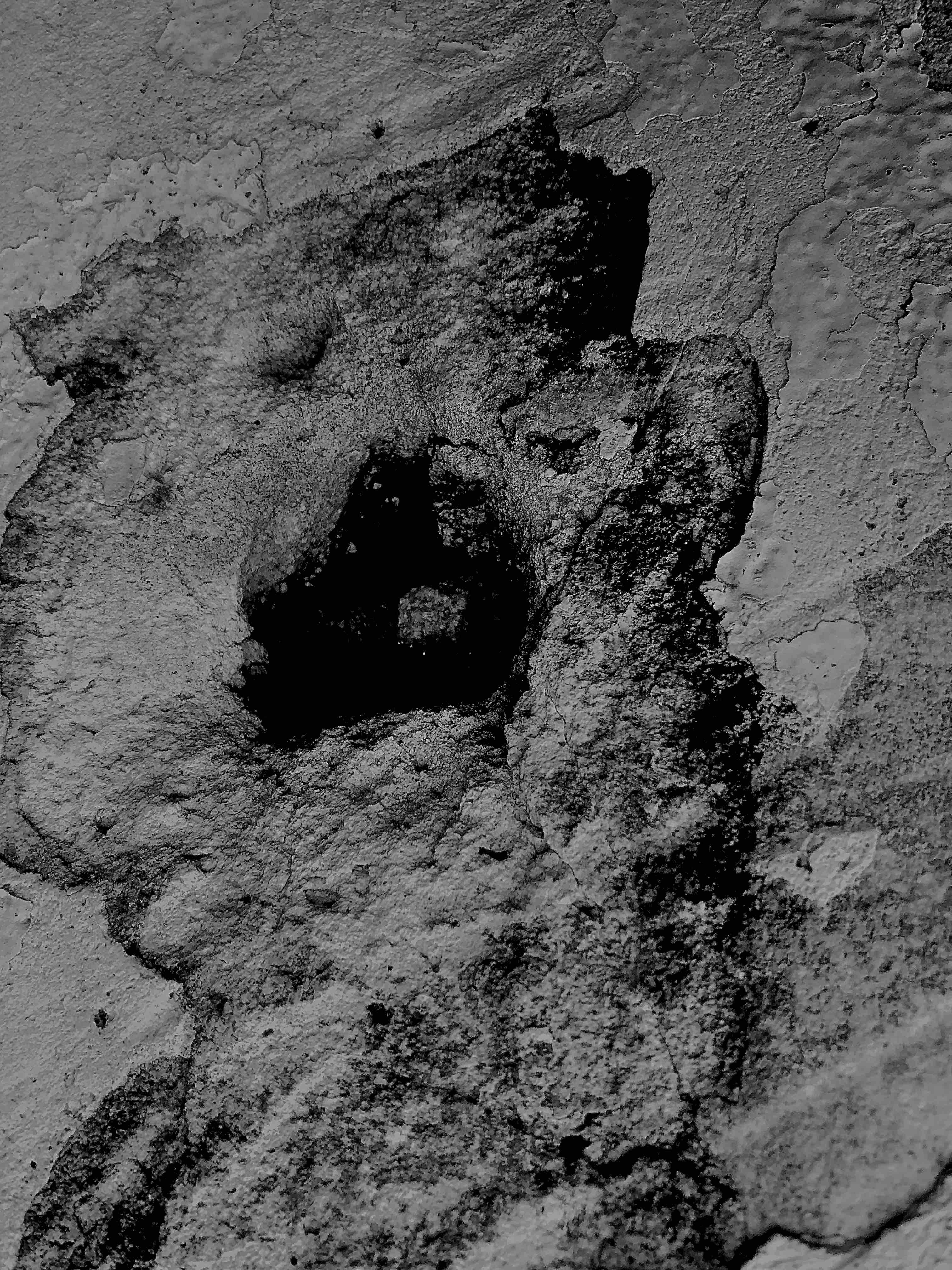 Dans l'ombre du fantôme d'Elephant Man / Carol Bücher