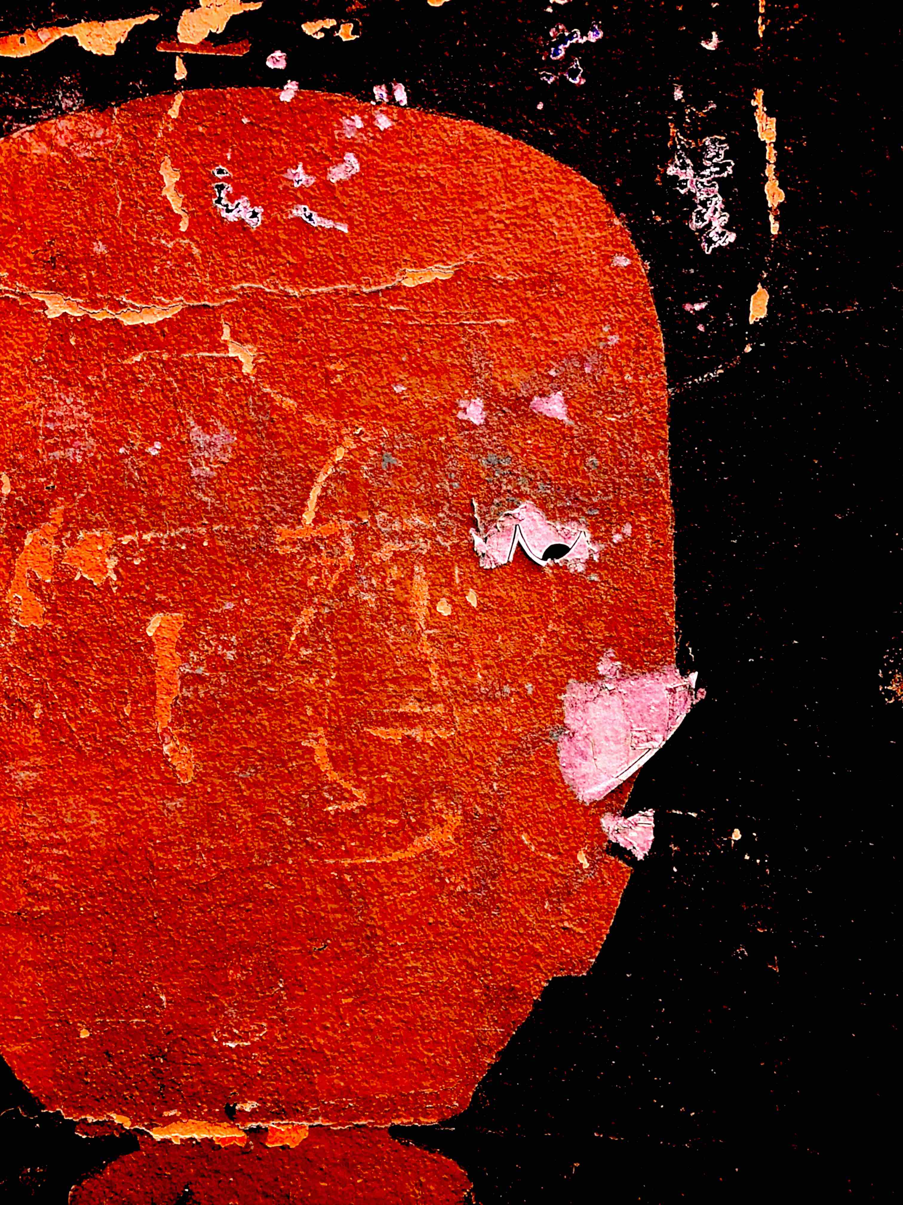 La magie des poissons rouge / Carol Bücher