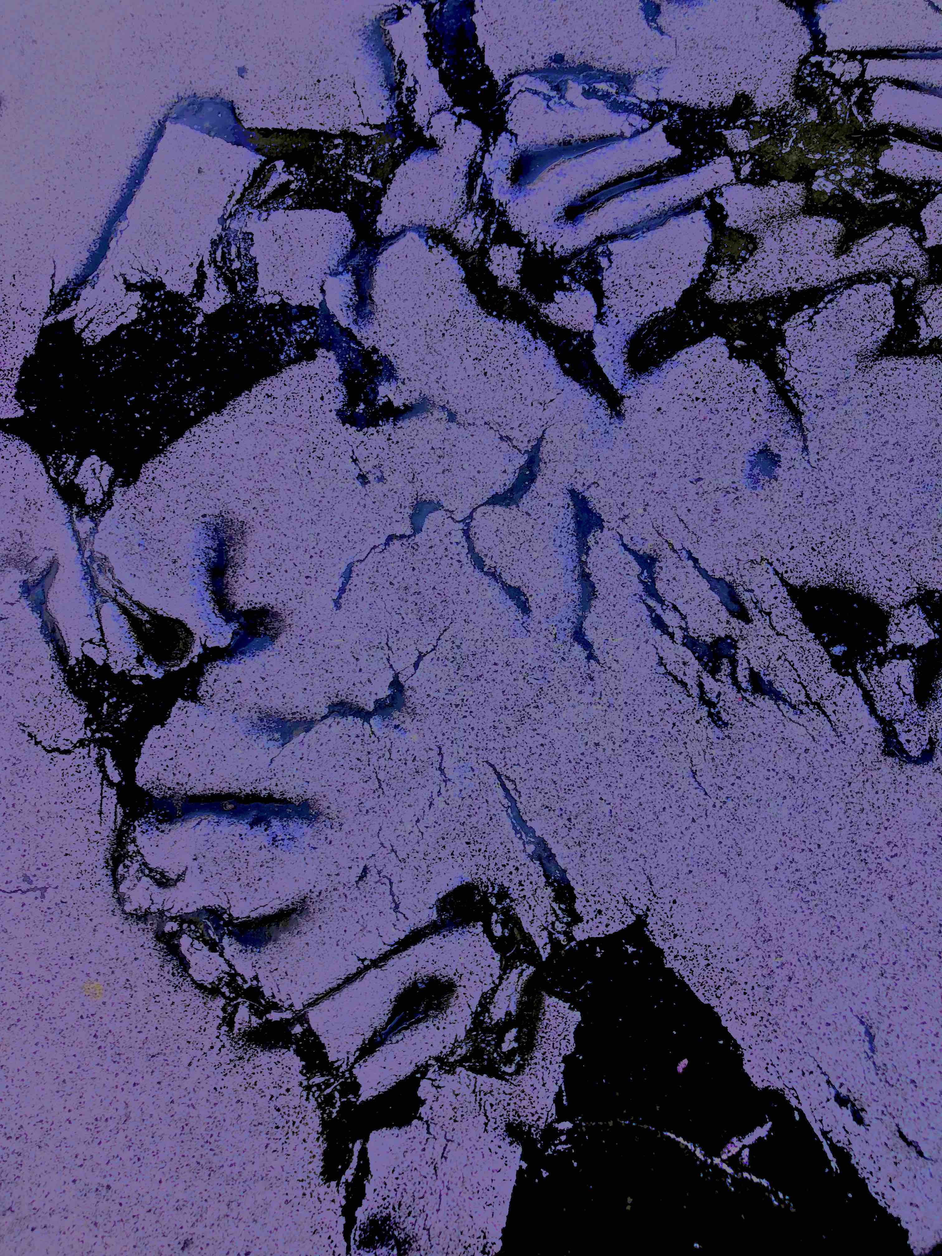 Ce vieux Maurice était un lion