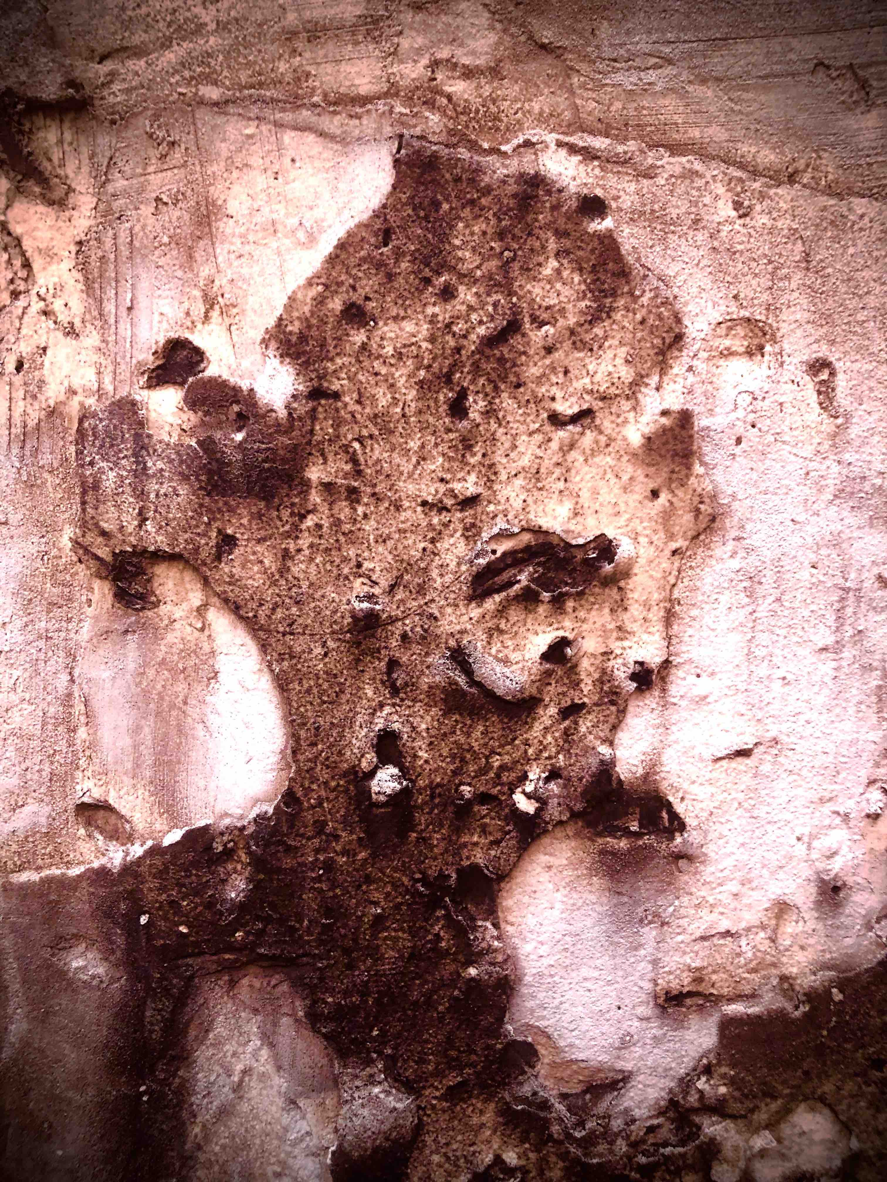 On a retrouvé Esmeralda, la chèvre de Picasso !