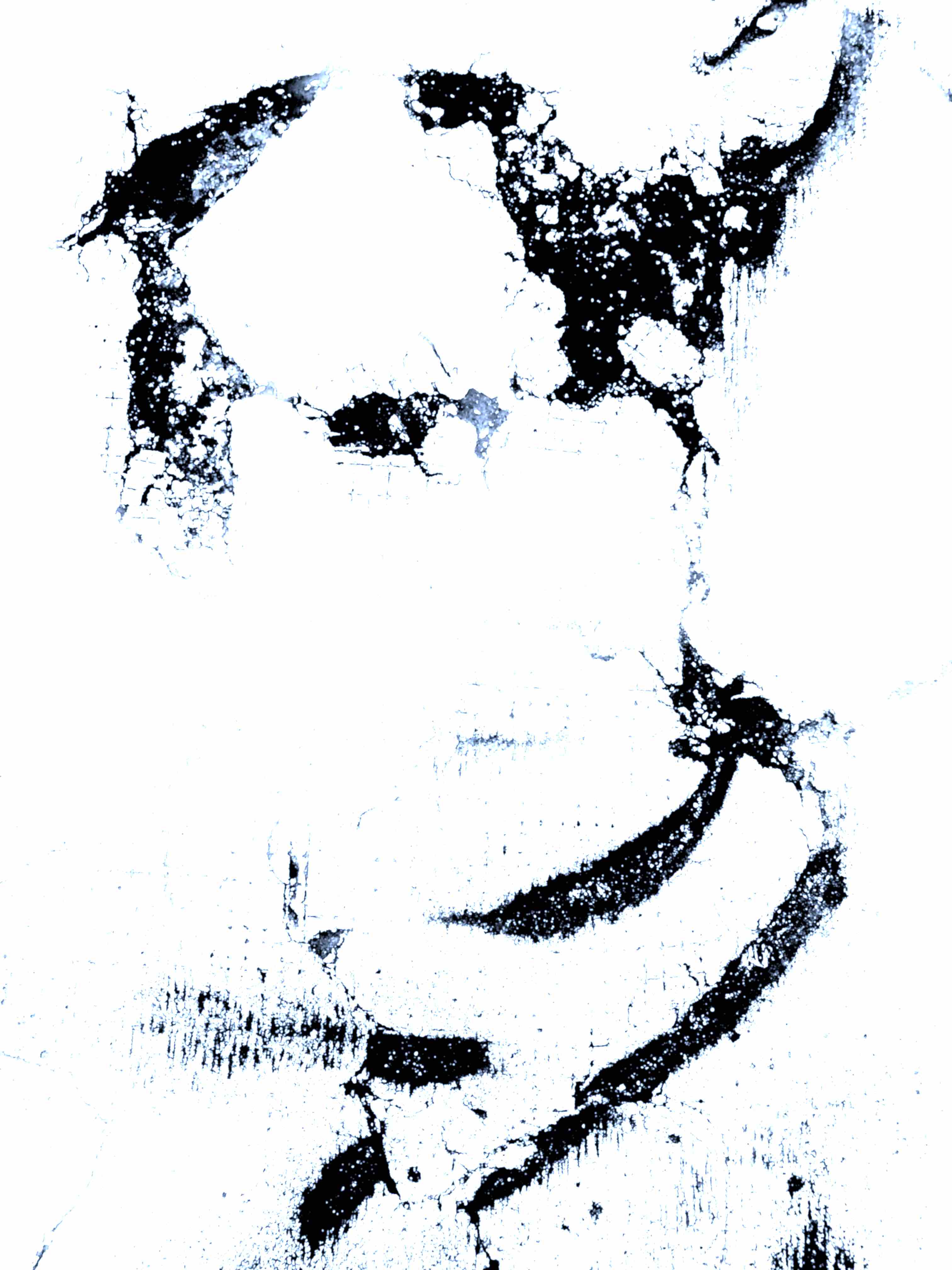 Qui se souviendra encore de baudelaire en 2099